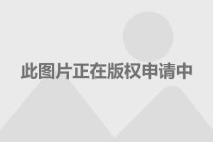 德甲金靴争夺进入白热化